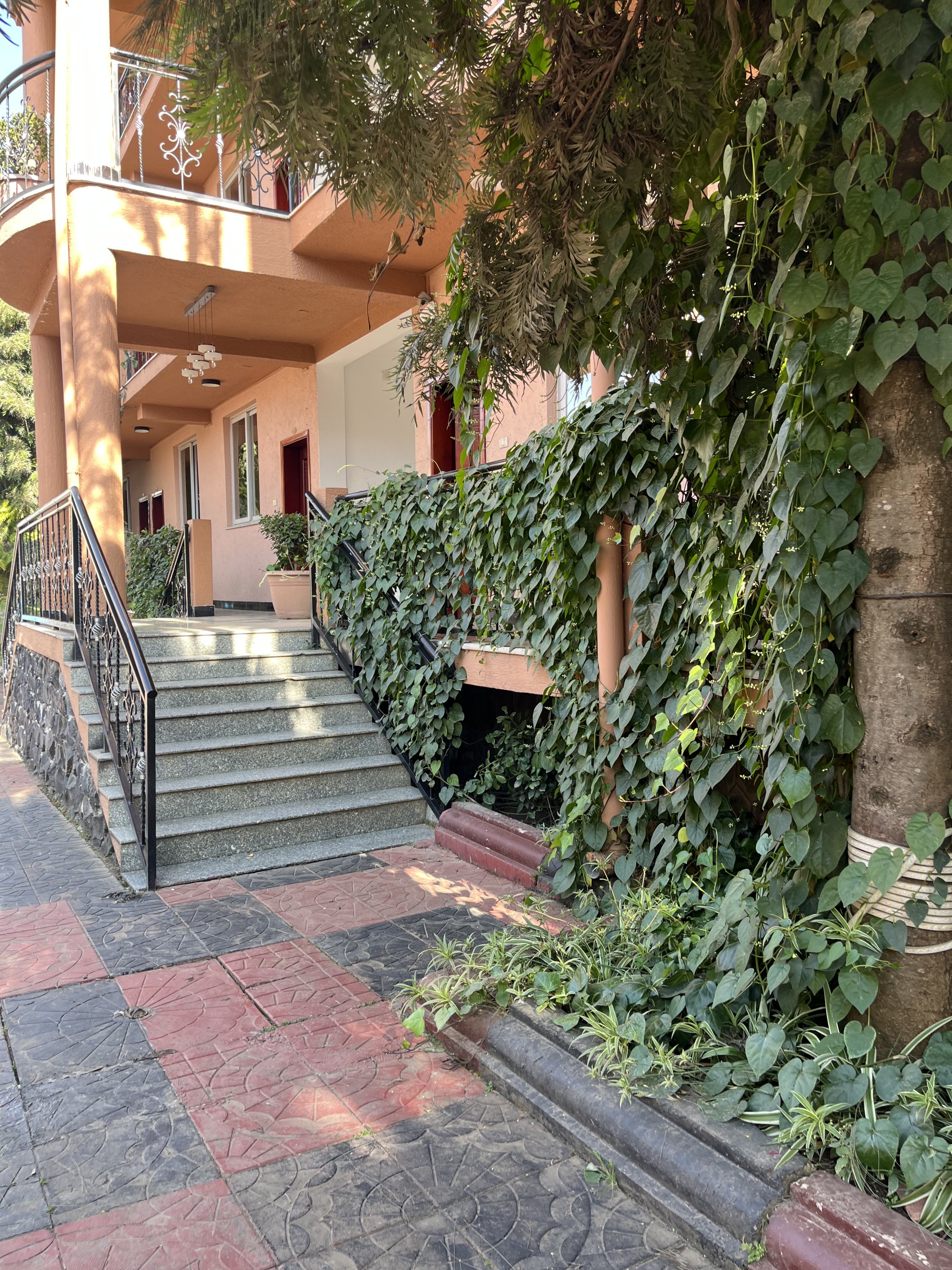 Mati Lodge Gallery 1